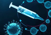 Investigating the Relationship Between COVID-19, Vaccination, and Menstrual Cycle Length