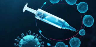 Investigating the Relationship Between COVID-19, Vaccination, and Menstrual Cycle Length