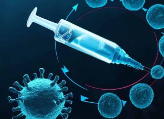Investigating the Relationship Between COVID-19, Vaccination, and Menstrual Cycle Length