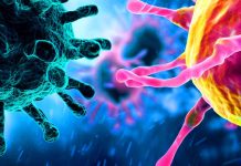 Virus SARS-COV-2 e cancro: svelare la complessa interazione
