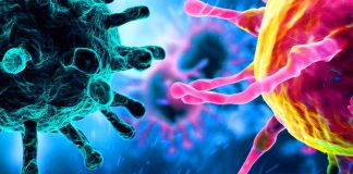 Virus SARS-COV-2 e cancro: svelare la complessa interazione