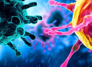 Virus SARS-COV-2 e cancro: svelare la complessa interazione