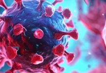 SARS-CoV-2 Infection of CD4+ T Cells: Implications for Immune Response and COVID-19 Severity