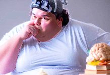 Il collegamento bidirezionale tra tessuto adiposo e funzione cognitiva
