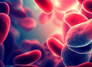 The Complex Interplay Between Acquired Hemophilia A and SARS-CoV-2 Infection