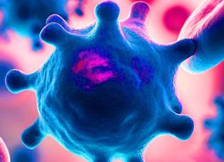 The Enigma of Long COVID: Monocyte Dysregulation as a Pivotal Pathway