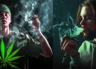 The Hidden Dangers of Marijuana Use: A Comprehensive Study on Metal Exposure