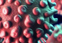 The Role of Endogenous Retroviruses in Neurodegenerative Diseases: Insights into Prion-like Spreading