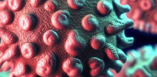 The Role of Endogenous Retroviruses in Neurodegenerative Diseases: Insights into Prion-like Spreading