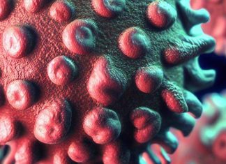 The Role of Endogenous Retroviruses in Neurodegenerative Diseases: Insights into Prion-like Spreading