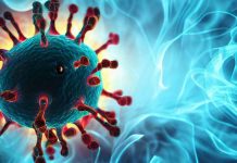 The Role of Viral Persistence and Immune Dysregulation in Long COVID: Insights from Whole-Body Positron Emission Tomography Imaging
