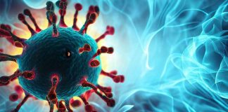 The Role of Viral Persistence and Immune Dysregulation in Long COVID: Insights from Whole-Body Positron Emission Tomography Imaging