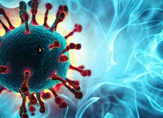 The Role of Viral Persistence and Immune Dysregulation in Long COVID: Insights from Whole-Body Positron Emission Tomography Imaging