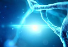 Timosina Alpha-1: svelare il potenziale di un potente sistema immunomodulatore