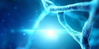 Thymosin Alpha-1: Unveiling the Potential of an Immunomodulatory Powerhouse