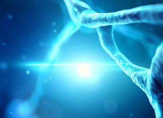 Timosina Alpha-1: svelare il potenziale di un potente sistema immunomodulatore