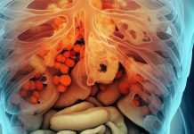 Targeting Fatty Acid Biosynthesis: Unraveling the Antifungal Potential of NPD6433