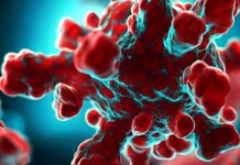 Svelato il potenziale antivirale della clorfeniramina maleato (CPM) contro la SARS-CoV-2: meccanismi e implicazioni