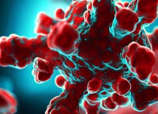 Svelato il potenziale antivirale della clorfeniramina maleato (CPM) contro la SARS-CoV-2: meccanismi e implicazioni