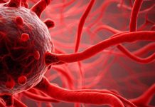 Esplorare il ruolo della disfunzione vascolare nel declino cognitivo correlato a COVID-19