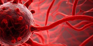 Esplorare il ruolo della disfunzione vascolare nel declino cognitivo correlato a COVID-19