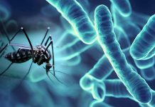 Dengue Fever Surge in Laos: A Closer Look at the Escalating Crisis