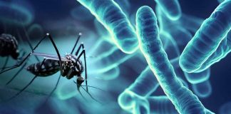 Dengue Fever Surge in Laos: A Closer Look at the Escalating Crisis