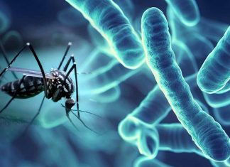 Dengue Fever Surge in Laos: A Closer Look at the Escalating Crisis