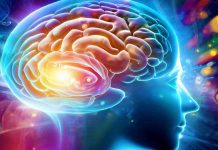 Age-Related Decline in Cognitive Flexibility
