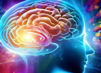 Age-Related Decline in Cognitive Flexibility