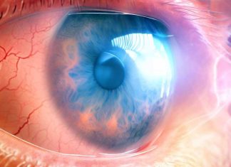 Association between Statin Use and the Risks of Glaucoma in Australia: A 10-Year Cohort Study