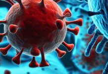 Disfunzione cognitiva in un paziente COVID-19 non ospedalizzato: un caso di studio sulla citicolina e riabilitazione cognitiva