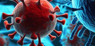 Disfunzione cognitiva in un paziente COVID-19 non ospedalizzato: un caso di studio sulla citicolina e riabilitazione cognitiva