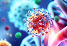 Deciphering the Molecular Impact of SARS-CoV-2 Genes Nsp6, Nsp8, and M on Human Cardiomyocytes and Potential Therapeutic Strategies