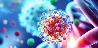 Deciphering the Molecular Impact of SARS-CoV-2 Genes Nsp6, Nsp8, and M on Human Cardiomyocytes and Potential Therapeutic Strategies