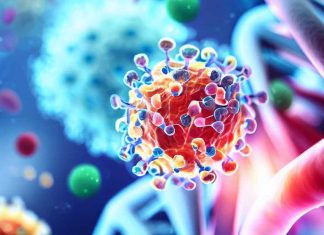 Deciphering the Molecular Impact of SARS-CoV-2 Genes Nsp6, Nsp8, and M on Human Cardiomyocytes and Potential Therapeutic Strategies