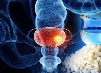 Exploring the Intersection of Bladder Cancer, COVID-19, and Pachymic Acid