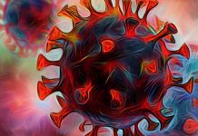 Exploring the Link Between SARS-CoV-2 Infection, GnRH Loss, and Long-Term Cognitive Decline