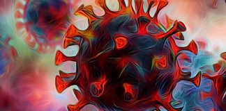 Exploring the Link Between SARS-CoV-2 Infection, GnRH Loss, and Long-Term Cognitive Decline