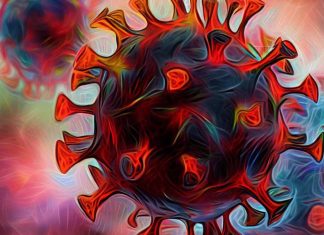 Exploring the Link Between SARS-CoV-2 Infection, GnRH Loss, and Long-Term Cognitive Decline