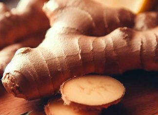 Zenzero: un rimedio naturale per le malattie autoimmuni – Esplorando il suo potenziale nella modulazione della NETosi