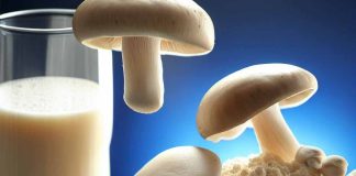 ImaginDairy: Revolutionizing Dairy Production with Bioengineered Mushroom Milk Proteins