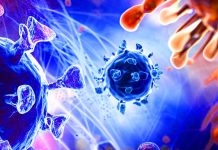 Unraveling the Innate Immune Evasion Strategies of SARS-CoV-2: Insights from ORF6 and its Variant Polymorphisms