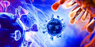 Unraveling the Innate Immune Evasion Strategies of SARS-CoV-2: Insights from ORF6 and its Variant Polymorphisms