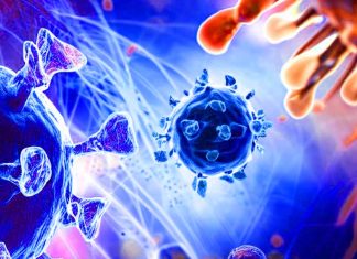 Unraveling the Innate Immune Evasion Strategies of SARS-CoV-2: Insights from ORF6 and its Variant Polymorphisms