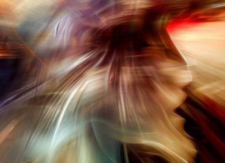 Long-Term Impact of Early Life Concussions on Cognitive Function