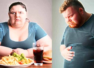 Obesity: A Multifactorial Challenge at the Intersection of Biology, Psychology, and Food Environments