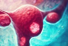 Occupational Exposures and Ovarian Cancer Risk