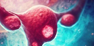 Occupational Exposures and Ovarian Cancer Risk