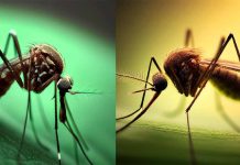 INDIA – Seasonal Diseases in Rajasthan: Alarming Rise and Necessary Preventive Measures